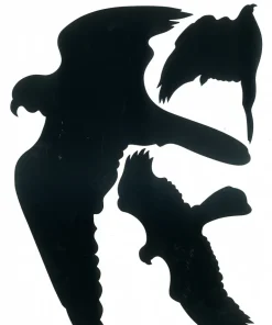 Silhouettes oiseaux noir 19 x 27 cm