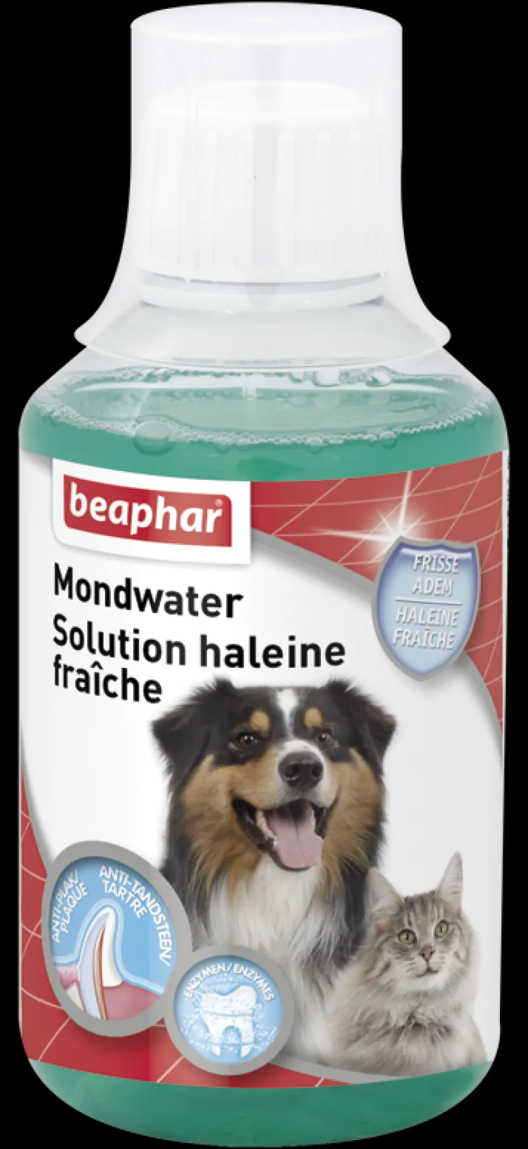 Solution Haleine Fraîche 250 ml