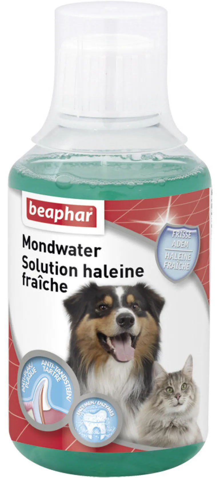 Solution Haleine Fraîche 250 ml