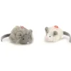 Souris foxy