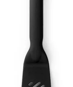 Spatule petite noire