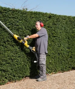 Taille-haies téléscopique 750 W 560 mm